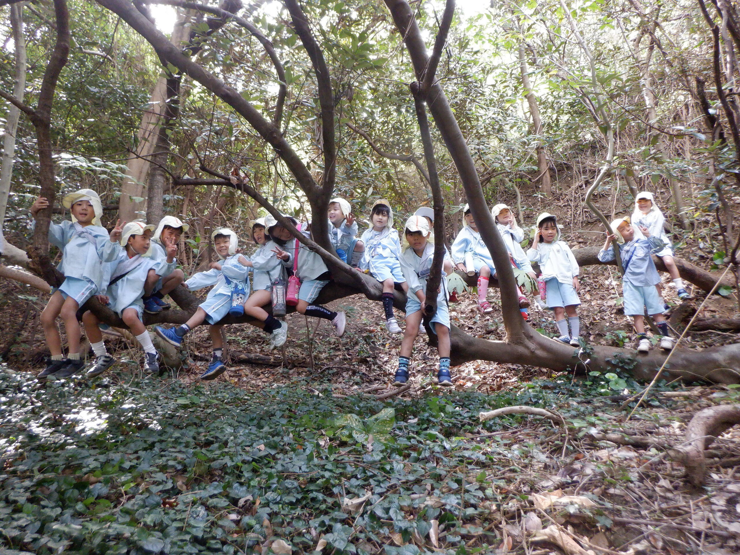 ふたば幼稚園が大事にしている子育て四原則
